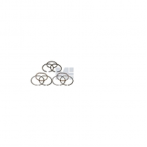 К-т поршн колец D=70мм, 0,25 DD/CAT