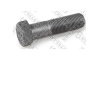 Болт М16*55